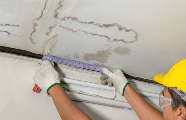 Reliable Basement Water Removal contractor in Elkins, WV by Water Damage Irwin